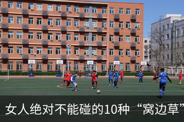 女人绝对不能碰的10种“窝边草”，碰了，守不住边界注定身败名裂